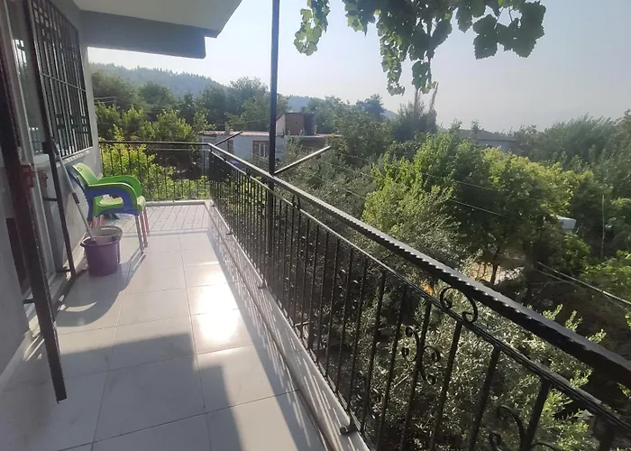 Engin Home